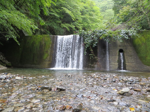 b0121015_14504381.jpg
