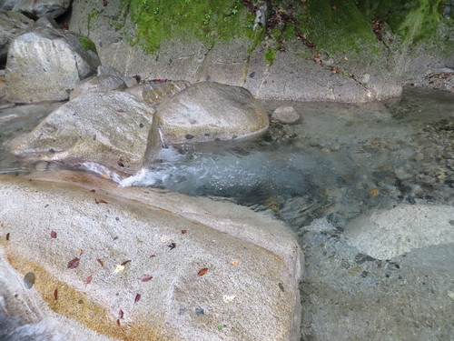 b0121015_15131844.jpg
