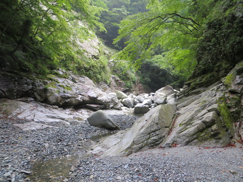 b0121015_15172282.jpg