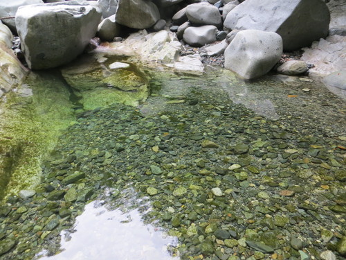 b0121015_1518212.jpg