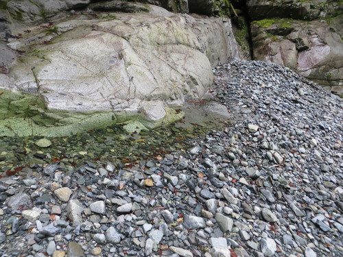 b0121015_1521231.jpg