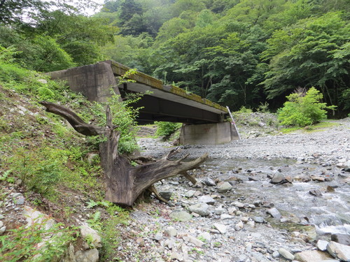 b0121015_1561790.jpg