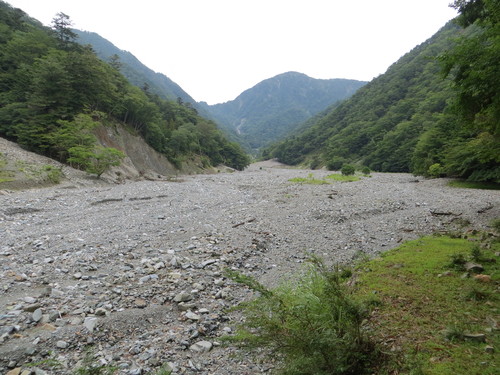 b0121015_1594977.jpg