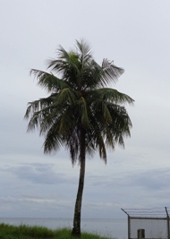 a0043520_19404239.jpg