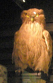 a0053420_14383952.jpg
