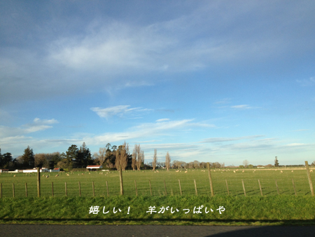 d0042827_20465244.jpg