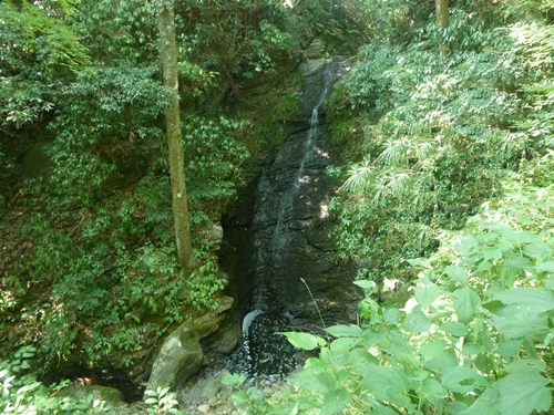 e0033229_15161824.jpg