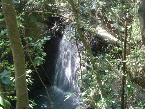 e0033229_1542379.jpg
