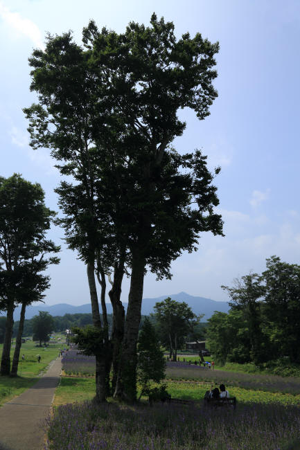 f0017530_20472015.jpg
