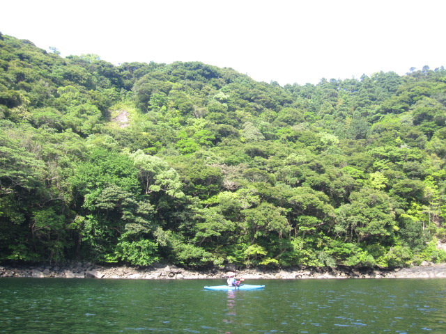 d0088735_20404695.jpg