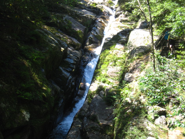 d0088735_2044329.jpg