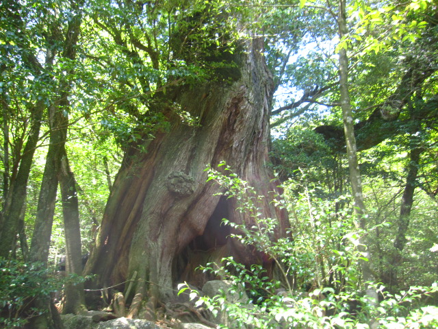 d0088735_20444459.jpg