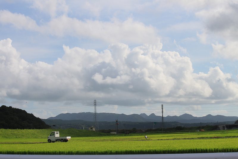 b0184636_10354910.jpg