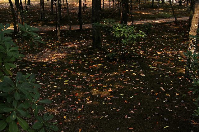 a0242438_1038478.jpg