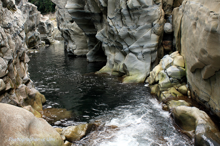 e0083238_7102016.jpg