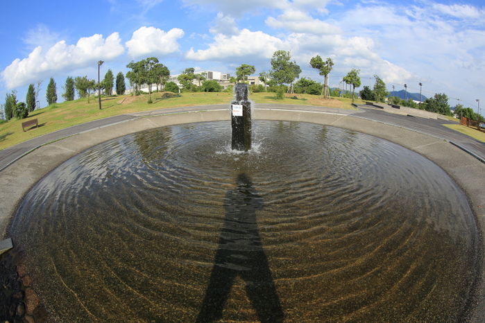 c0253439_226793.jpg