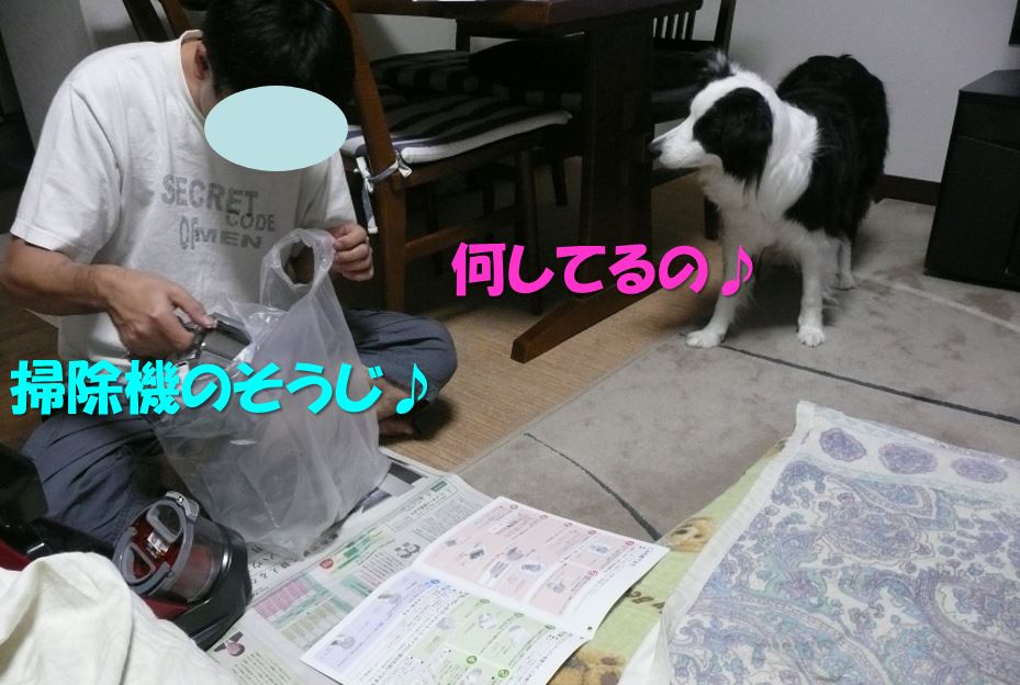 c0147241_20505737.jpg