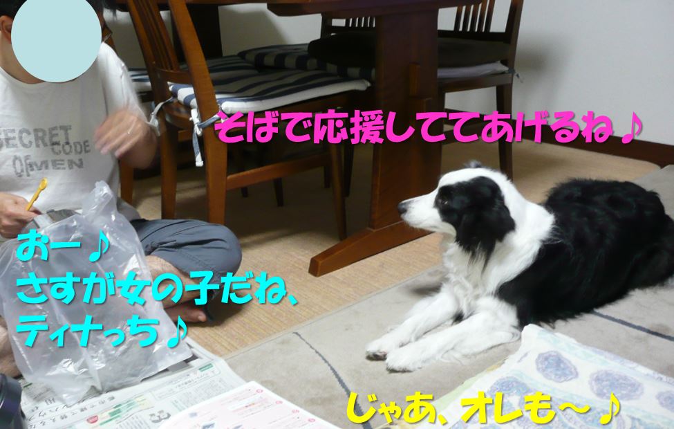 c0147241_20511641.jpg