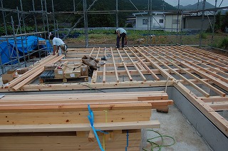 b0082242_2041553.jpg
