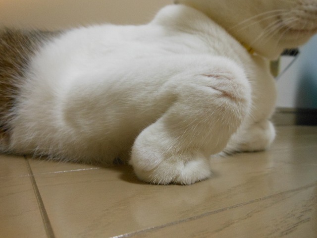a0150353_13281973.jpg