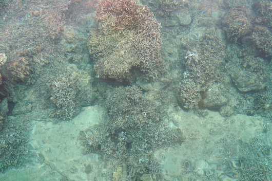 c0215469_0233398.jpg
