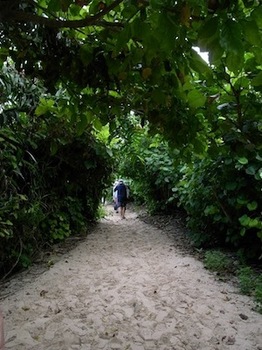 c0215469_043350.jpg