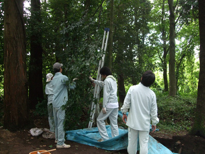 c0152274_17172160.jpg