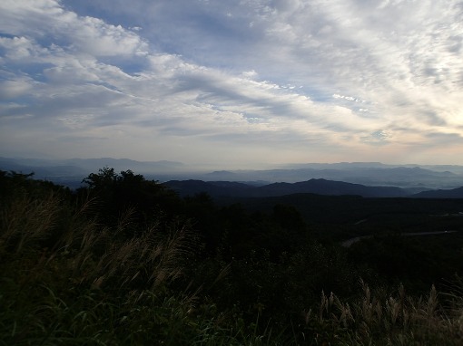 a0279883_184792.jpg