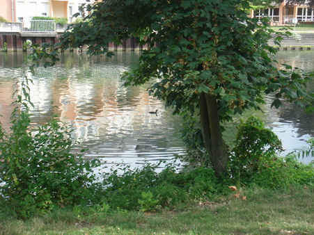 a0247585_5421627.jpg