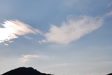 a0133886_2103461.jpg