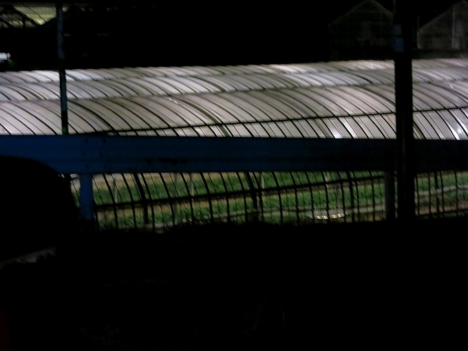 a0258686_13385565.jpg