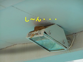 e0121589_0594470.jpg
