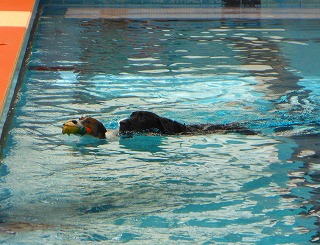 e0121589_1141550.jpg