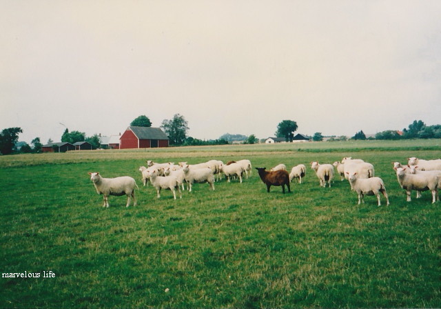 c0191092_13121527.jpg