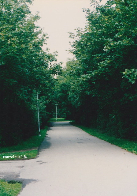 c0191092_13123264.jpg