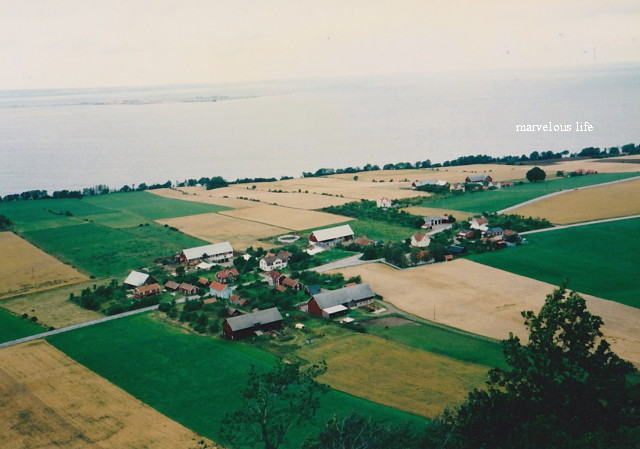 c0191092_1312445.jpg