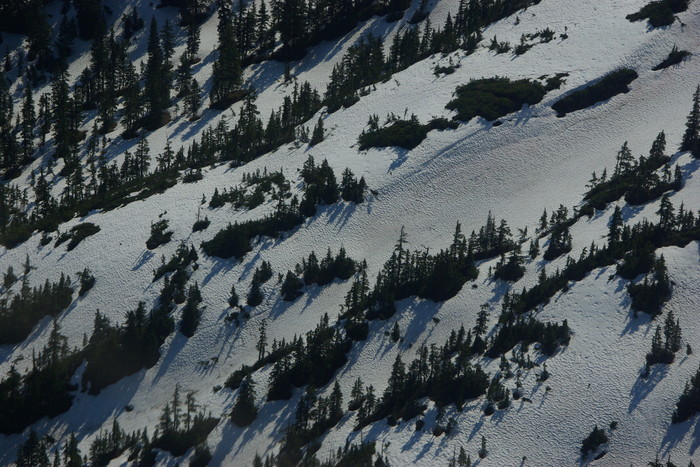 f0268294_15143063.jpg