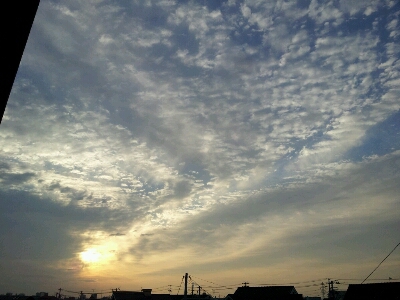 d0239796_5364991.jpg