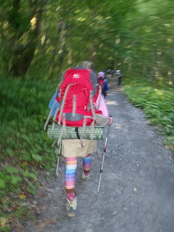 c0147398_1123860.jpg
