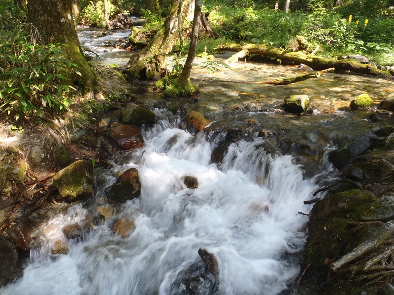 c0147398_11263966.jpg