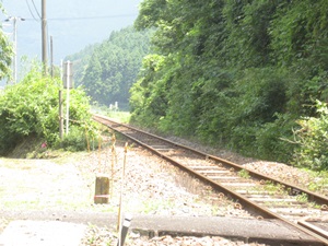 d0240201_102804.jpg