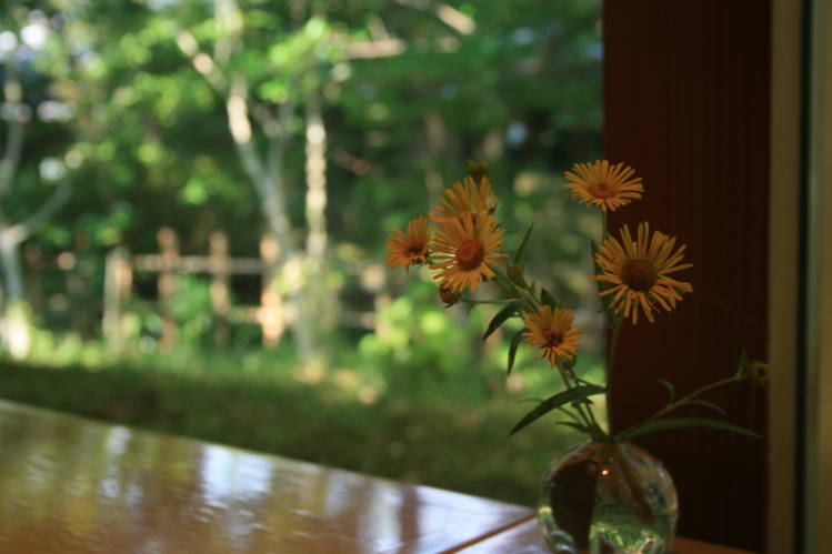 f0031304_8152282.jpg