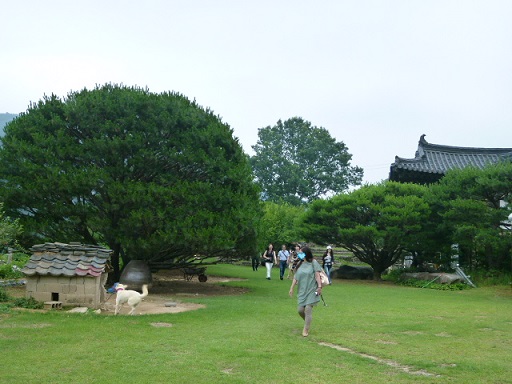a0140305_312576.jpg