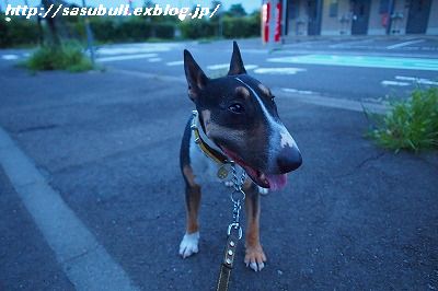 e0145805_20101575.jpg