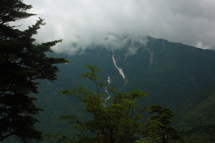 a0148606_19375527.jpg