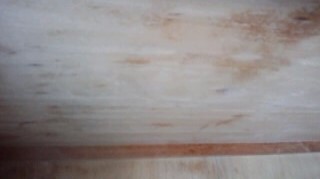 e0091220_2305644.jpg