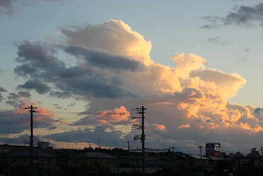 a0061023_6244224.jpg