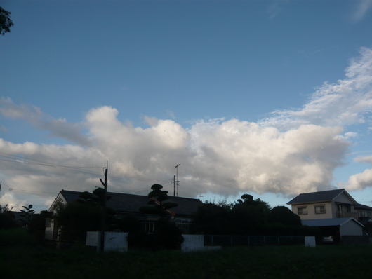 a0206332_8421175.jpg