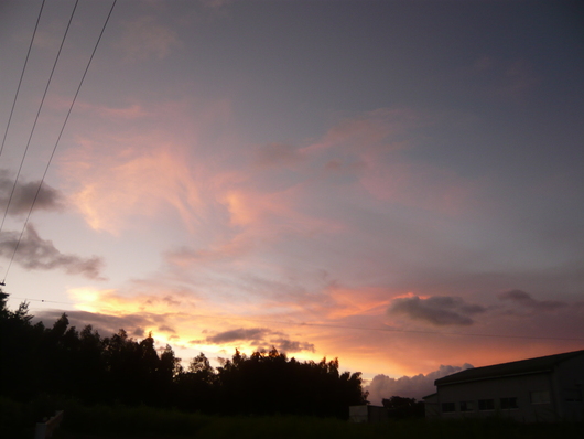 a0206332_8471842.jpg