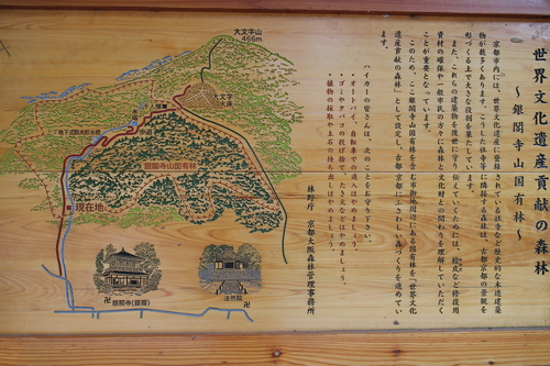 d0033734_2223324.jpg